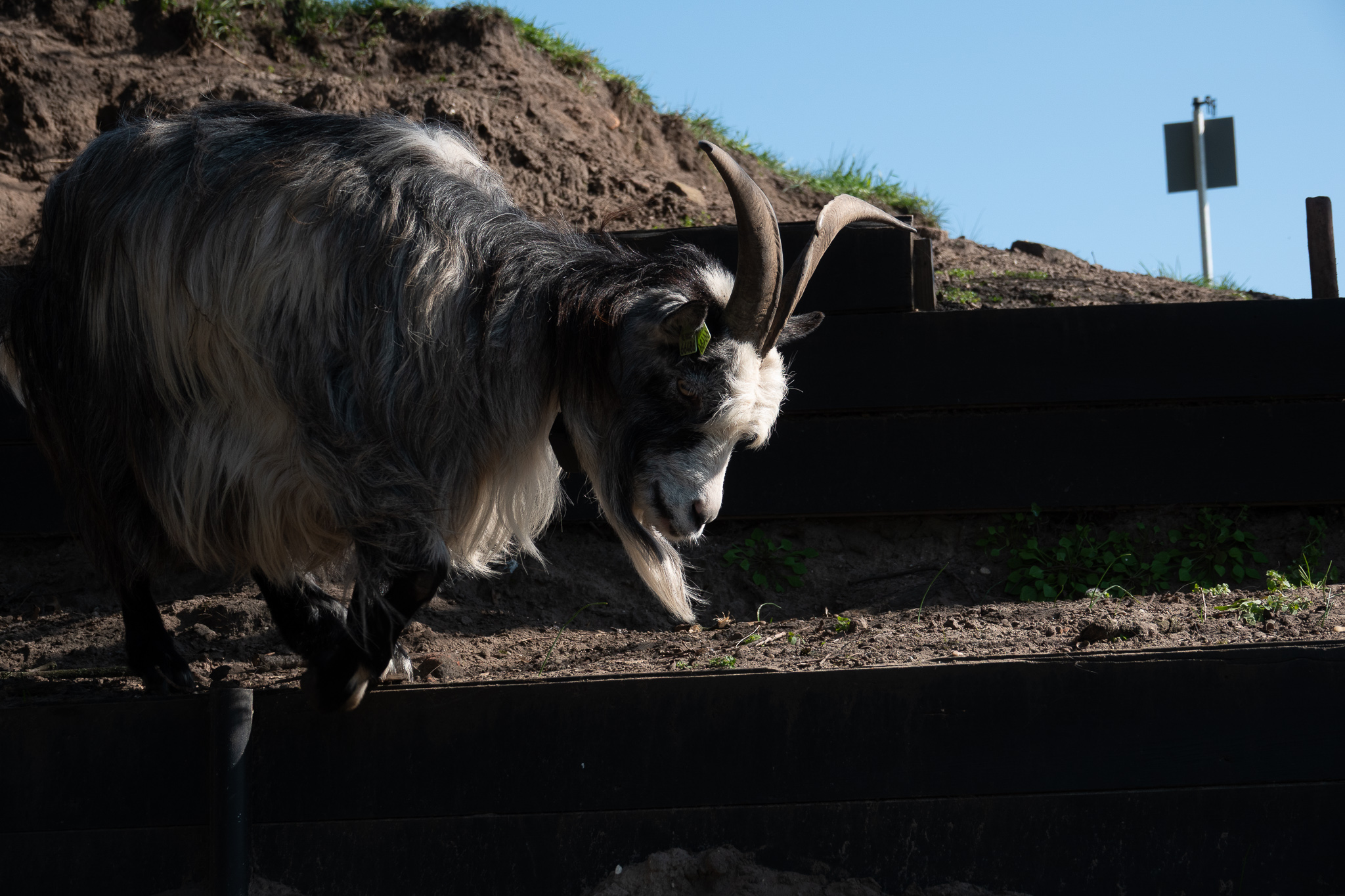 20260321   Fototrip Maart   Naarden vesting   045